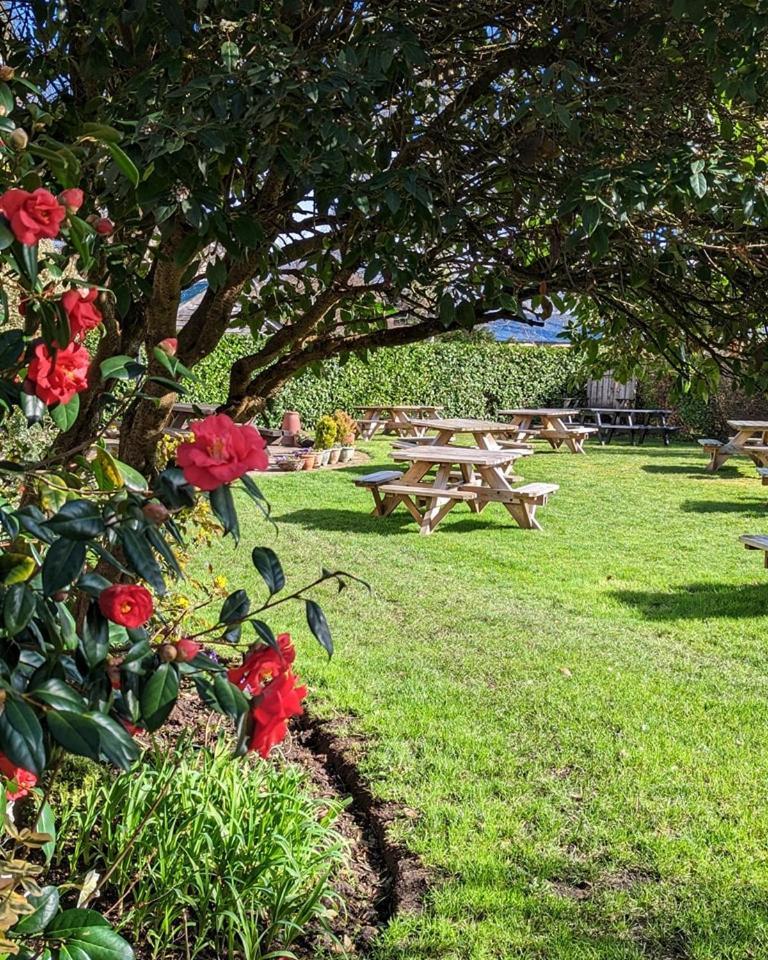 The Mortimer Arms (Adults Only) Ромси Экстерьер фото